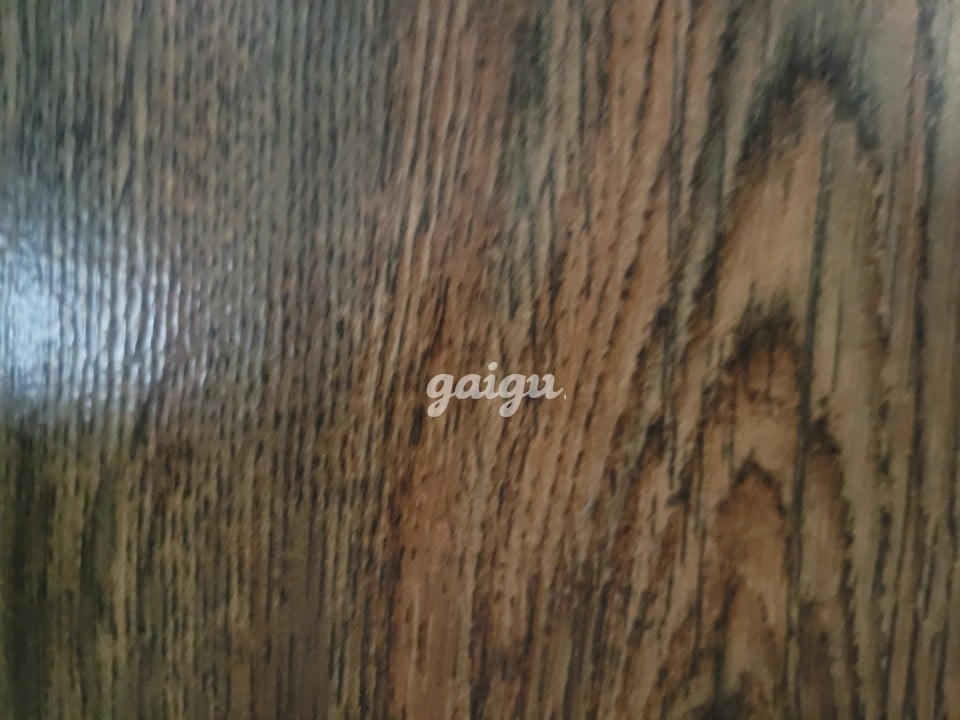 Kim yến thiên thần vào đời hình đt chân thật 100%
